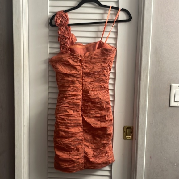 BCBG MAX AZRIA Evangeline Dress in Coral Reef-Size 6.Excellent Condition. - Picture 5 of 10